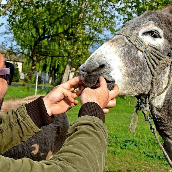 #LIFOPETS (36): Αυτά είναι τα κατοικίδιά μας