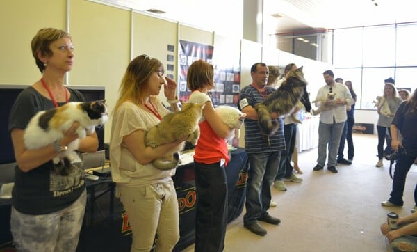 Μια ολόκληρη μέρα στο πρώτο παγκόσμιο Cat Show της Ελλάδας