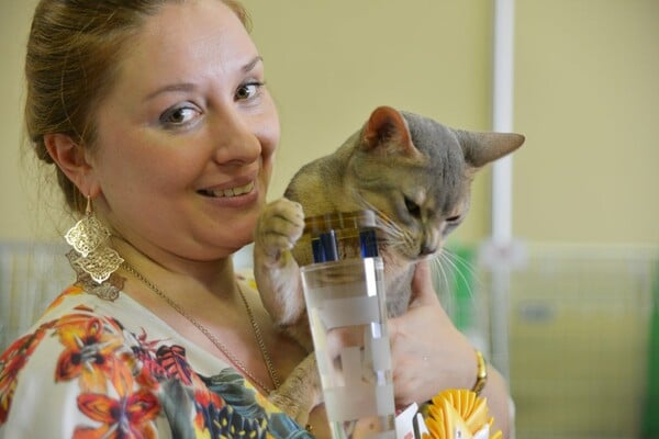 Μια ολόκληρη μέρα στο πρώτο παγκόσμιο Cat Show της Ελλάδας