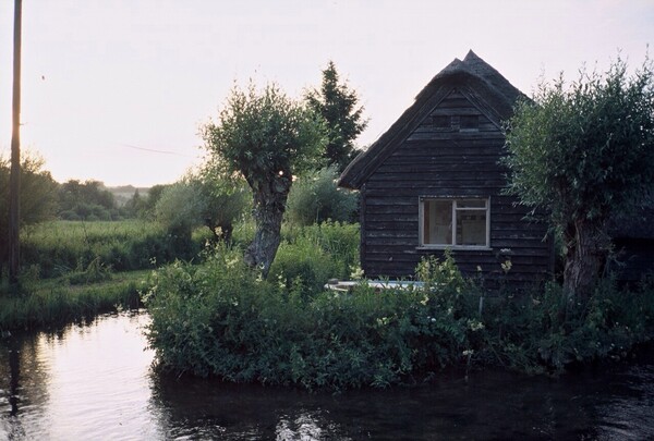 Cabin