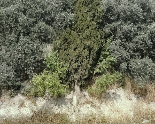 Οι 130 βραβευμένες φωτογραφίες του μεγάλου διαγωνισμού SONY WPA