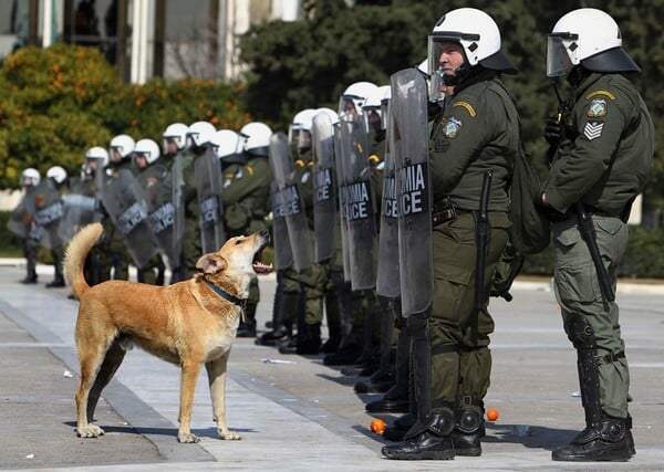 Η ζωή και ο θάνατος του Λουκάνικου, του σκύλου σύμβολο