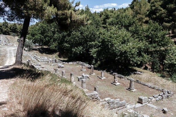 Αμφιάρειο: το δασωμένο ιερό ενός αρχαίου θεού και μάντη