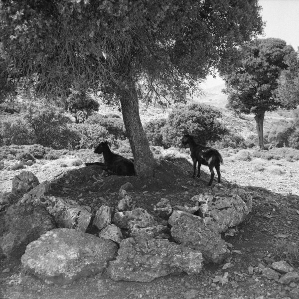 Αναλογικό καλοκαίρι στη Σκύρο