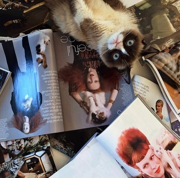 Η Grumpy Cat στη Vogue