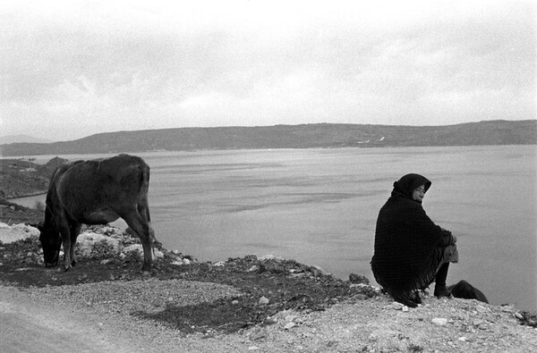 Η Κρήτη του 1955