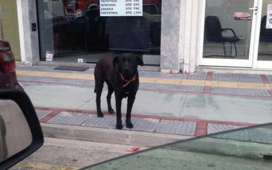  Οι 5 χειρότερες ειδήσεις της ημέρας