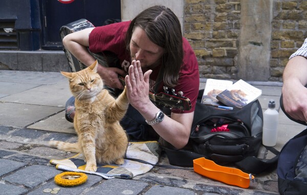 Ένας γάτος κάνει έναν άστεγο εκατομμυριούχο!