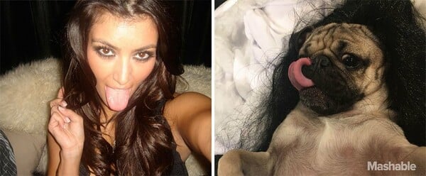 To pug που ξέρει πως να βγάζει selfies σαν τη Kim Kardashian 