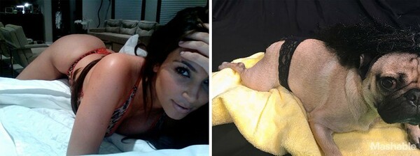 To pug που ξέρει πως να βγάζει selfies σαν τη Kim Kardashian 