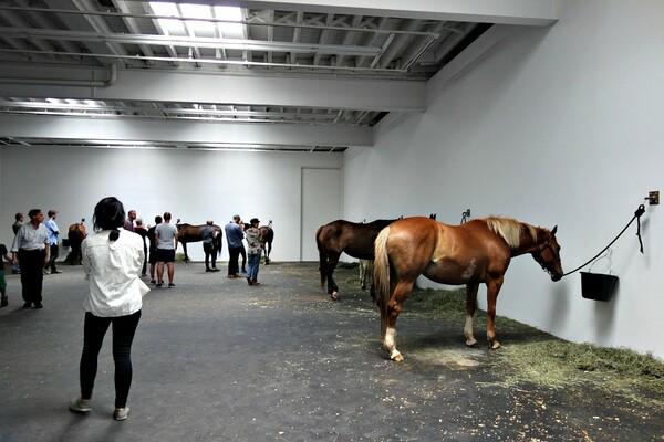  Τα άλογα του Γιάννη Κουνέλη στο Μανχάταν