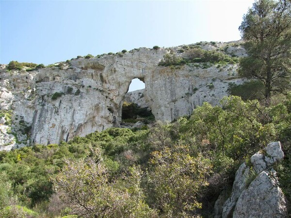 Γνωρίζετε ότι μόλις 5 χιλιόμετρα απ' την πλατεία Συντάγματος βρίσκεται μια προστατευόμενη περιοχή Natura;