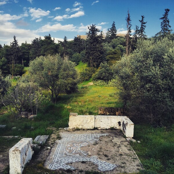 Τι έμαθα προσπαθώντας να γίνω ένας μέτριος κηπουρός