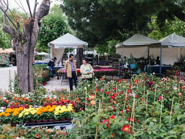 Πρωτομαγιά γεμάτη λουλούδια στην Κηφισιά