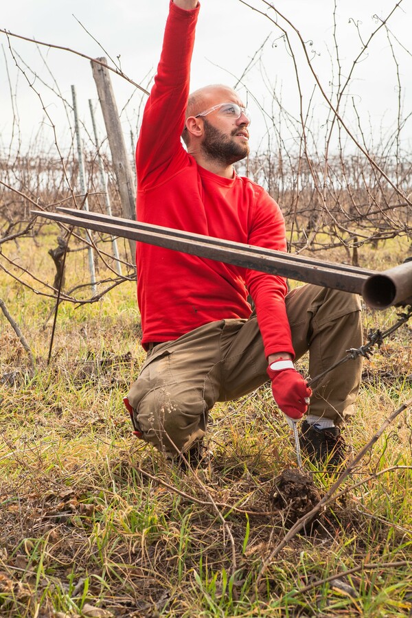 Ο Ιάσων Λίγας θα σου εξηγήσει τι είναι τα Natural Wines!