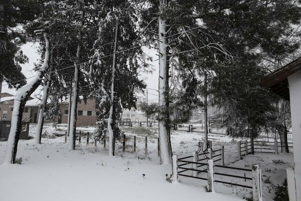 15 φωτογραφίες απ' την χτεσινή χιονόπτωση στην Ελλάδα