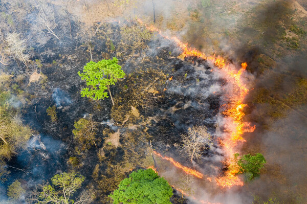 Earth Photo 2020: Οι νικήτριες φωτογραφίες του διαγωνισμού