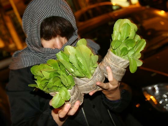 Guerilla Gardening στην Αθήνα