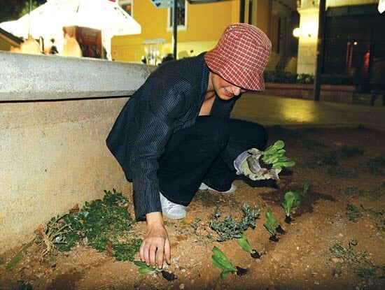 Guerilla Gardening στην Αθήνα