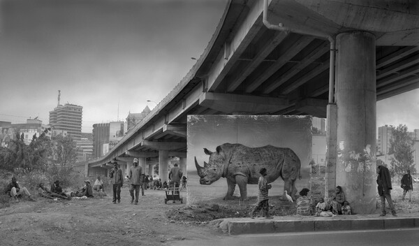 "Κληρονομώντας τη σκόνη", από τον φωτογράφο Nick Brandt