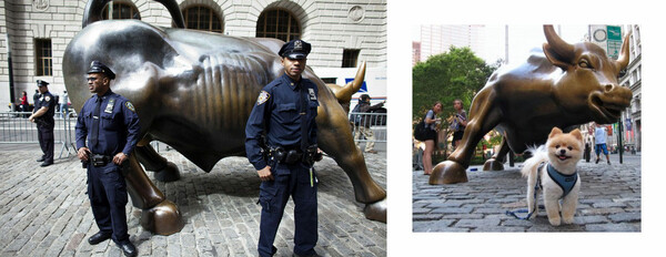 Occupy Wall Street.