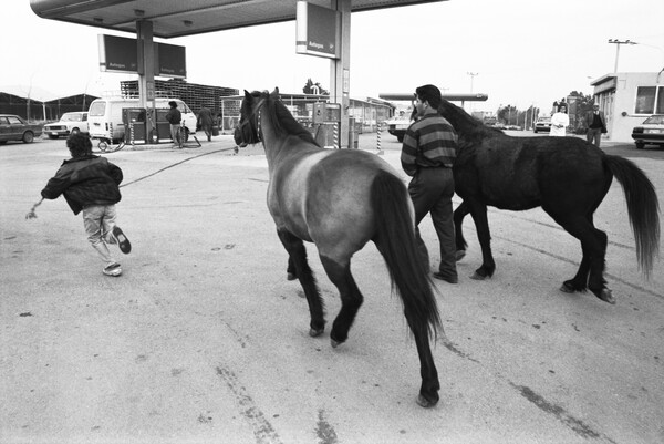 Ζωοπανήγυρη στο Ρέντη (1992)