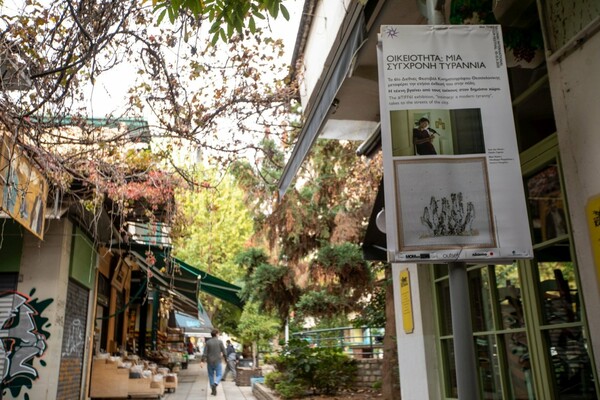 Φεστιβάλ Θεσσαλονίκης: Εικαστικά δρώμενα στο λιμάνι και στους δρόμους της πόλης