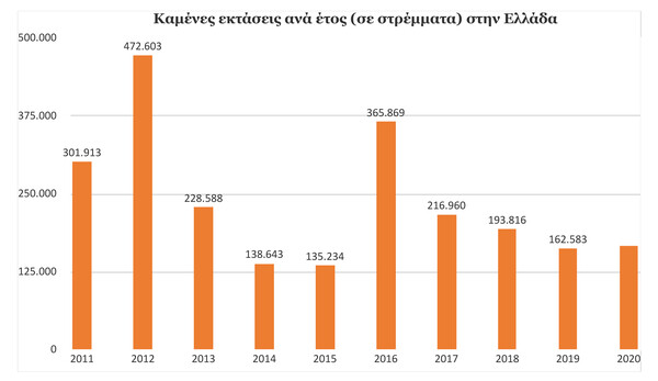 WWF: Μία πυρκαγιά είναι και ένα οικονομικό μέγεθος - Χρειάζεται πρόληψη