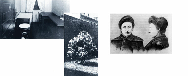 Rosa Luxemburg. Η εκδίκηση της Ιστορίας.