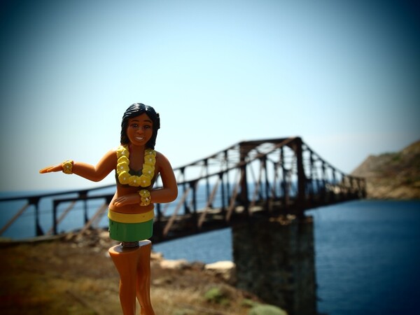 Hula Girl at Heart