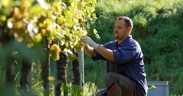 Πριμ έως 70.000 ευρώ στους νέους αγρότες