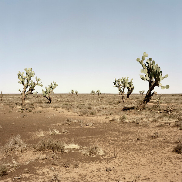 African scenery and animals. Daniel Naude.