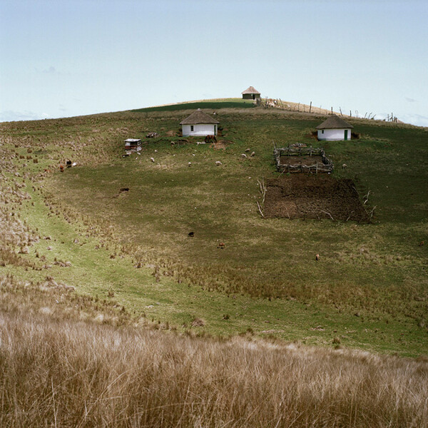 African scenery and animals. Daniel Naude.