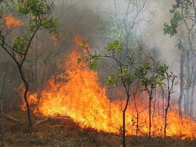 Υψηλός κίνδυνος για πυρκαγιές αύριο