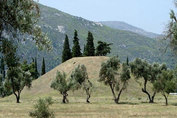 Ανάρτηση των πρώτων δασικών χαρτών στο ίντερνετ