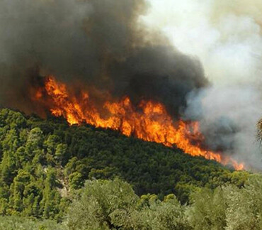 Συλλήψεις για την πυρκαγιά στο Μαρκόπουλο