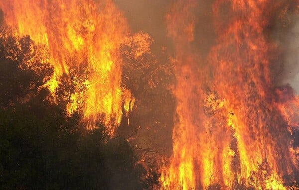 Μεγάλη πυρκαγιά σε εξέλιξη στο Πόρτο Ράφτη