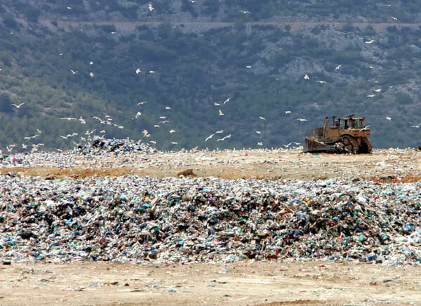 Κύπρος: Πέταξαν βρέφος στα σκουπίδια