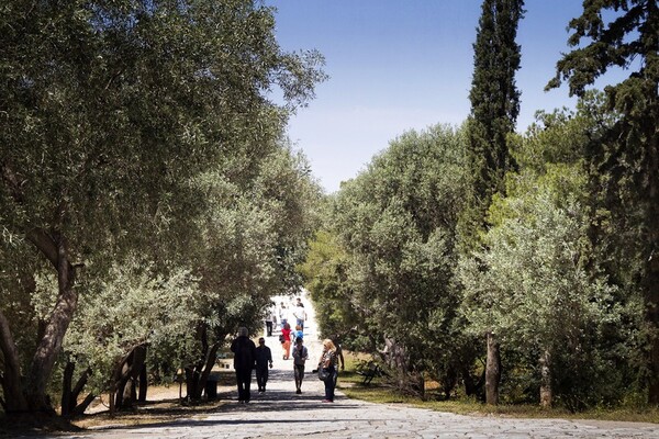 Θεοδοσία, πώς κυλούν οι μέρες κάτω από την Ακρόπολη;