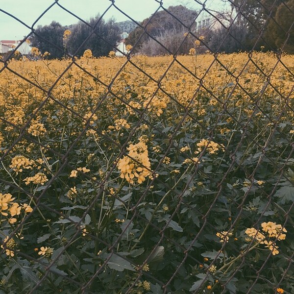 #INSTALIFO: Παρασκευή 6 Μαρτίου