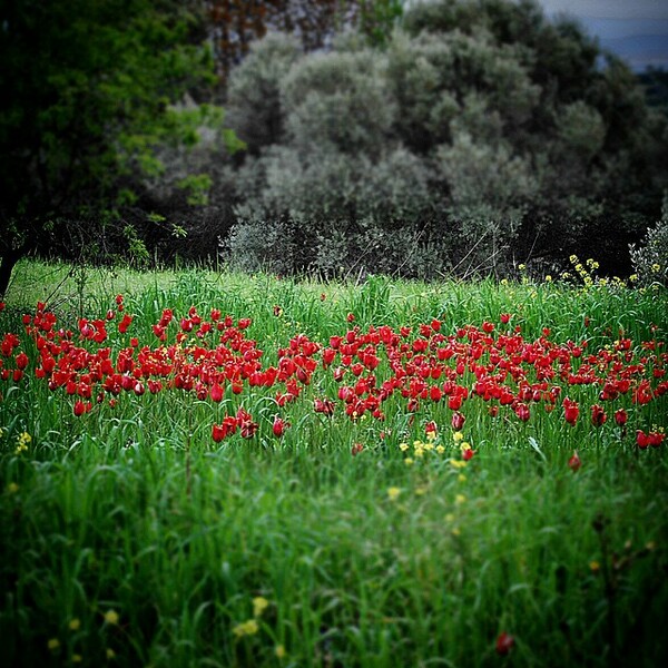 #INSTALIFO: Τετάρτη 8 Απριλίου