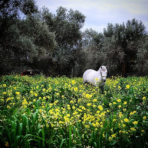 #INSTALIFO: Τετάρτη 29 Απριλίου