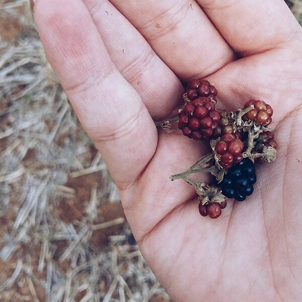 #INSTALIFO: Πέμπτη 3 Σεπτέμβρη