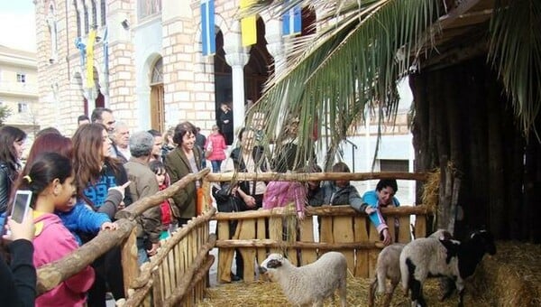 Ο Αχιλλέας Μπέος έκανε φάτνη με ζωντανά ζώα στο Βόλο