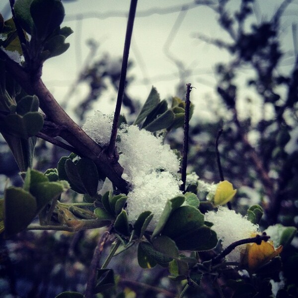 #INSTALIFO: Παρασκευή 9 Ιανουαρίου