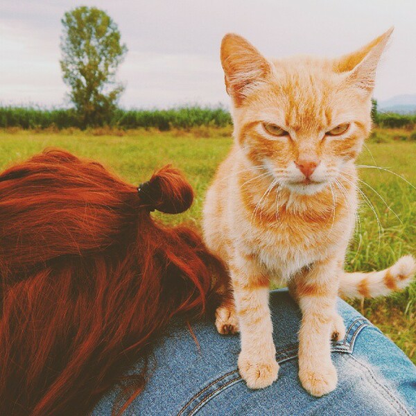 #LIFOPETS (90): Αυτά είναι τα κατοικίδιά μας