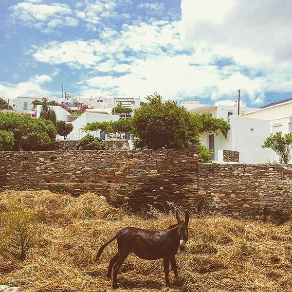 #INSTALIFO: Παρασκευή 17 Ιουλίου