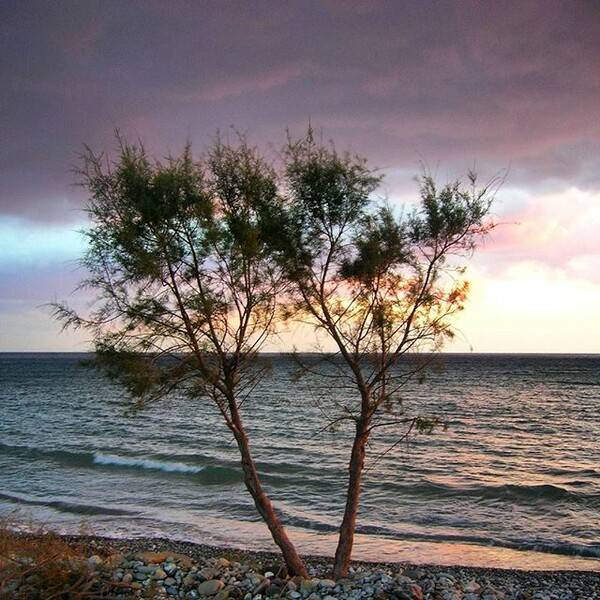 #INSTALIFO: Πέμπτη 17 Σεπτέμβρη