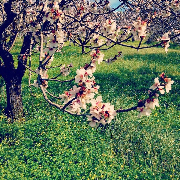 #INSTALIFO: Παρασκευή 13 Μαρτίου