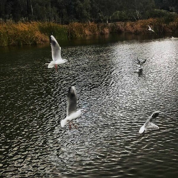 #INSTALIFO: Δευτέρα 2 Νοεμβρίου